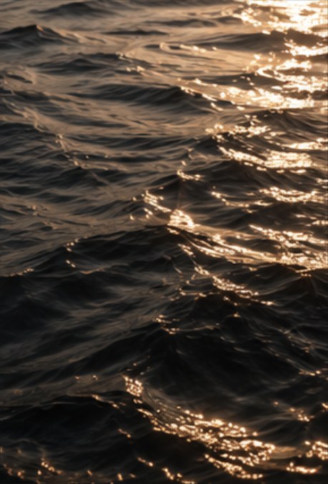 Sunlight on dark water